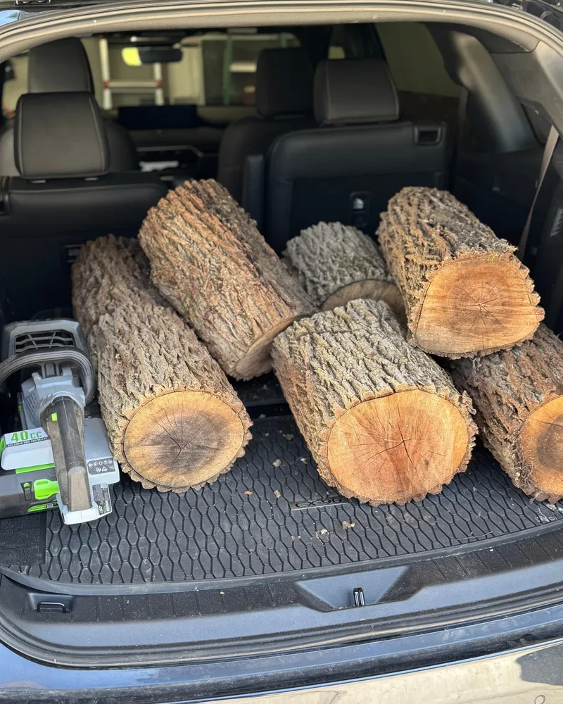 Logs in the car trunk — local wood sourcing in Northeast Ohio