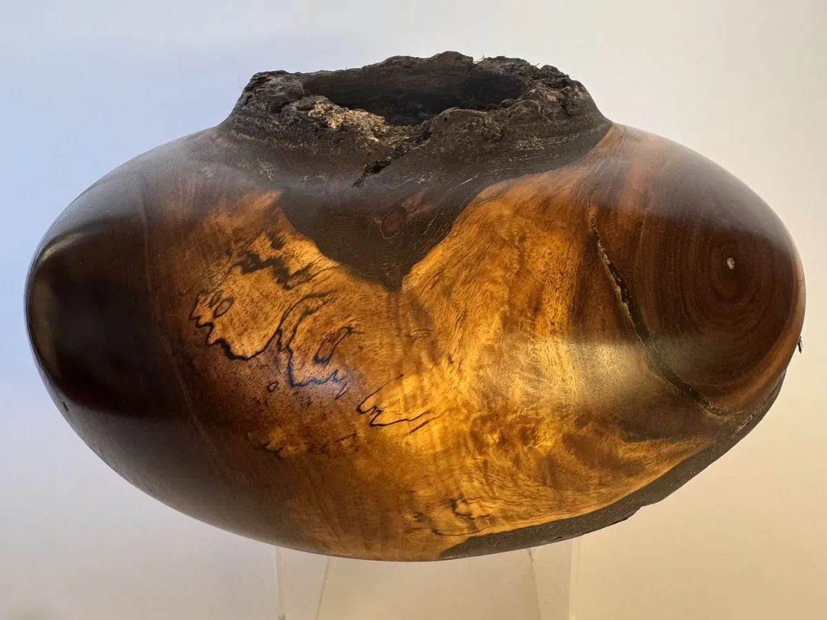 Wide walnut hollow form with rough bark opening and bright amber sapwood patch