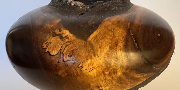 Walnut Hollow Form — Natural Bark & Spalted Sapwood