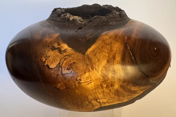 Walnut Hollow Form — Natural Bark & Spalted Sapwood