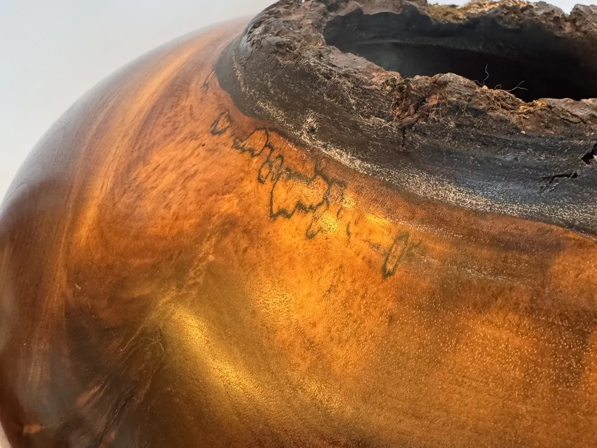 Close detail of walnut hollow form showing rough bark edge and glossy curved surface