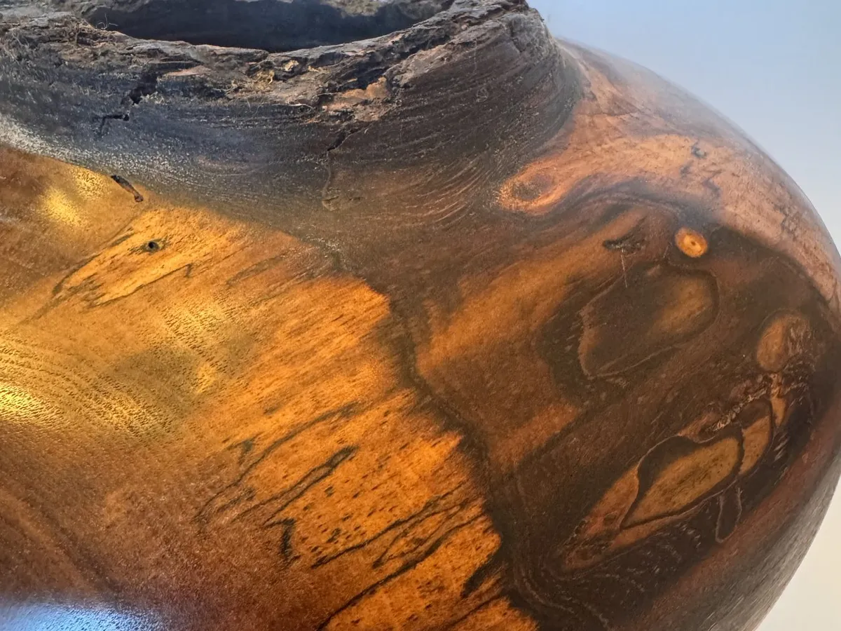 Side detail of walnut hollow form with spalted sapwood and amber figure