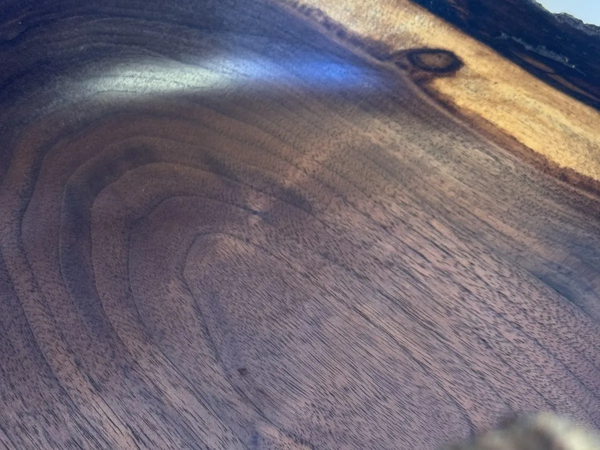 Close detail of walnut natural edge bowl showing polished dark wood below rough bark