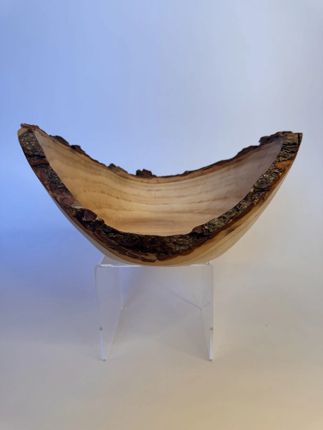 Side profile of winged maple bowl showing bark edge rising at both ends