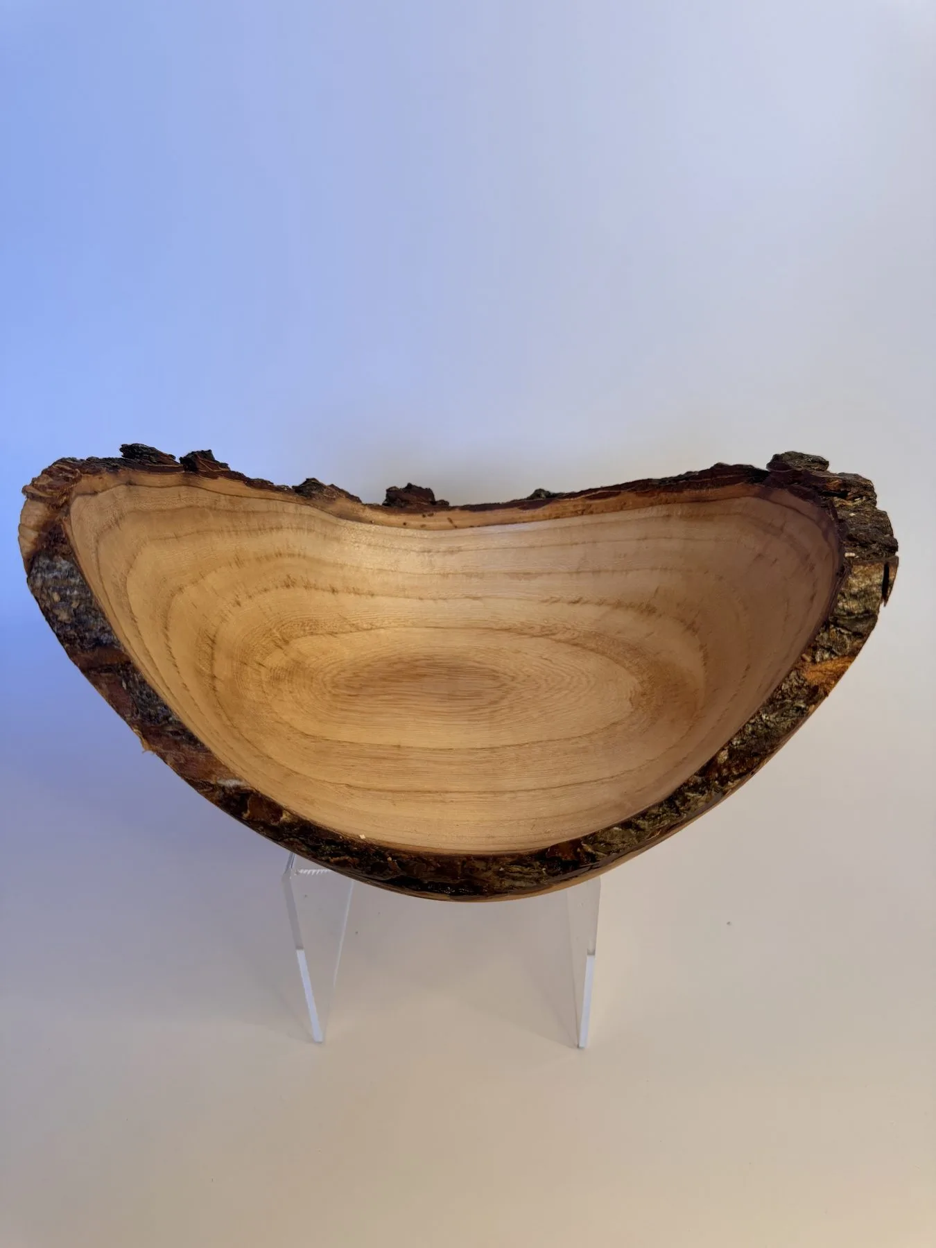 Craggy natural edge maple bowl with intact bark rim and wide winged profile