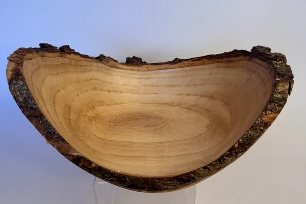 Natural Edge Maple Bowl — Craggy Winged Bark Rim