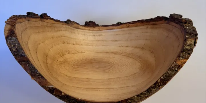 Natural Edge Maple Bowl — Craggy Winged Bark Rim
