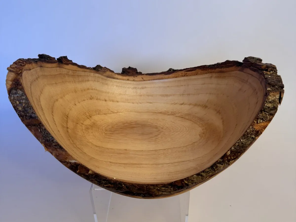 Craggy natural edge maple bowl with intact bark rim and wide winged profile