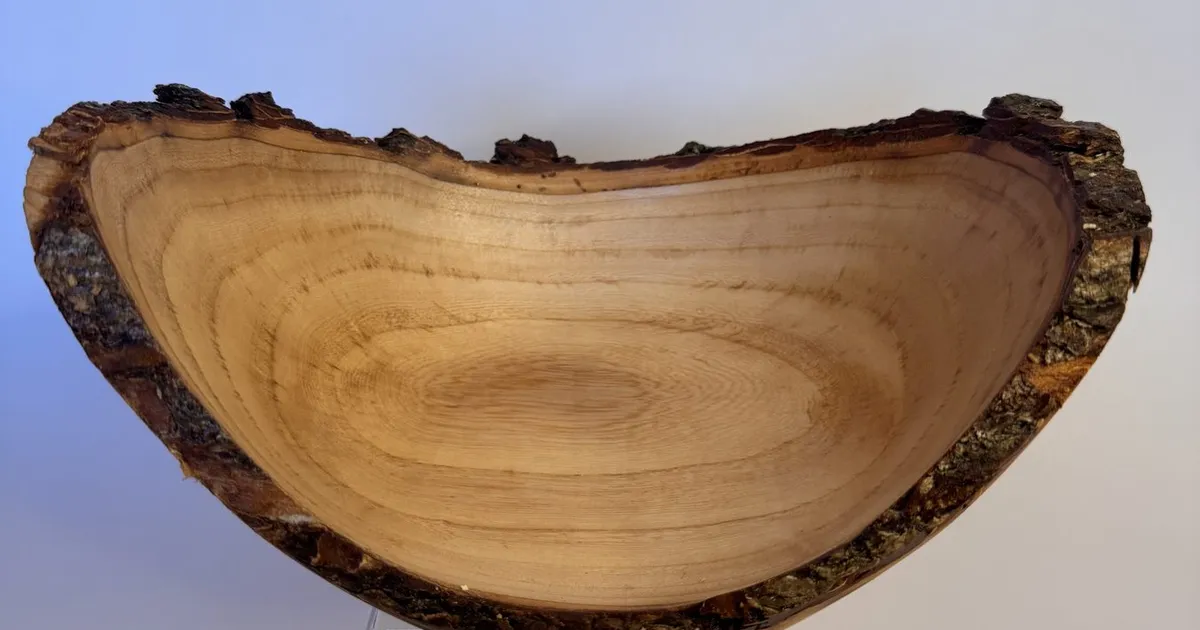 Natural Edge Maple Bowl — Craggy Winged Bark Rim