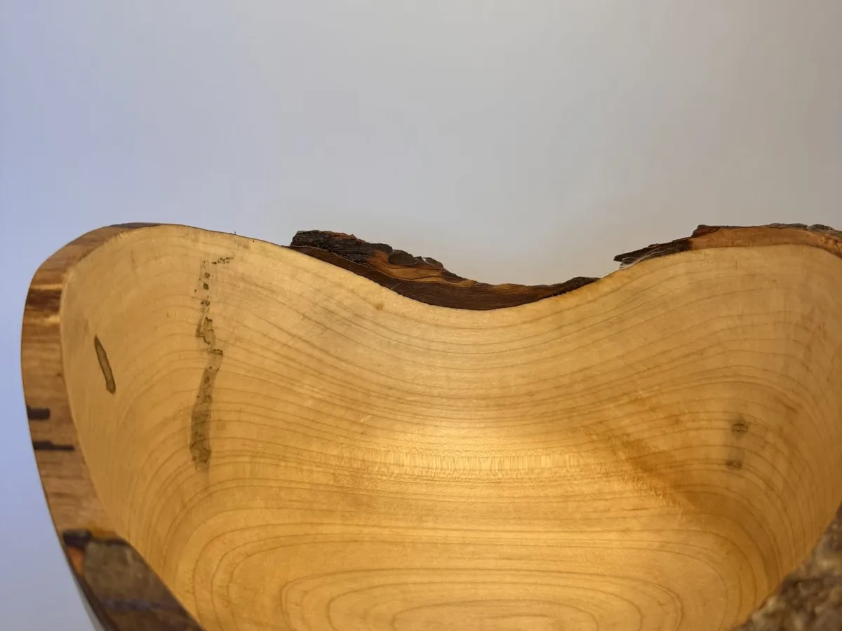 Interior view of pale maple natural edge bowl with dark bark line around the rim
