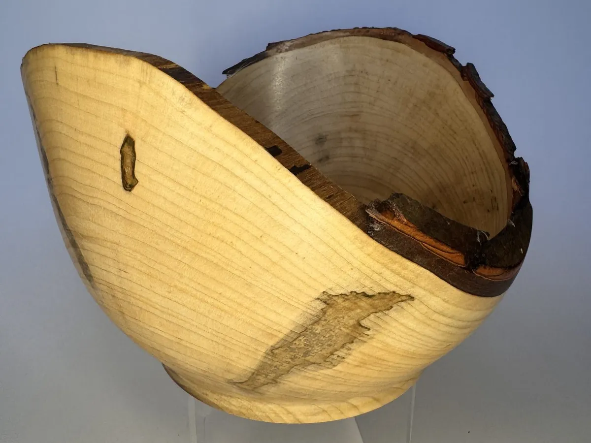 Side view of tall winged maple bowl showing pale wood interior and darker bark edge