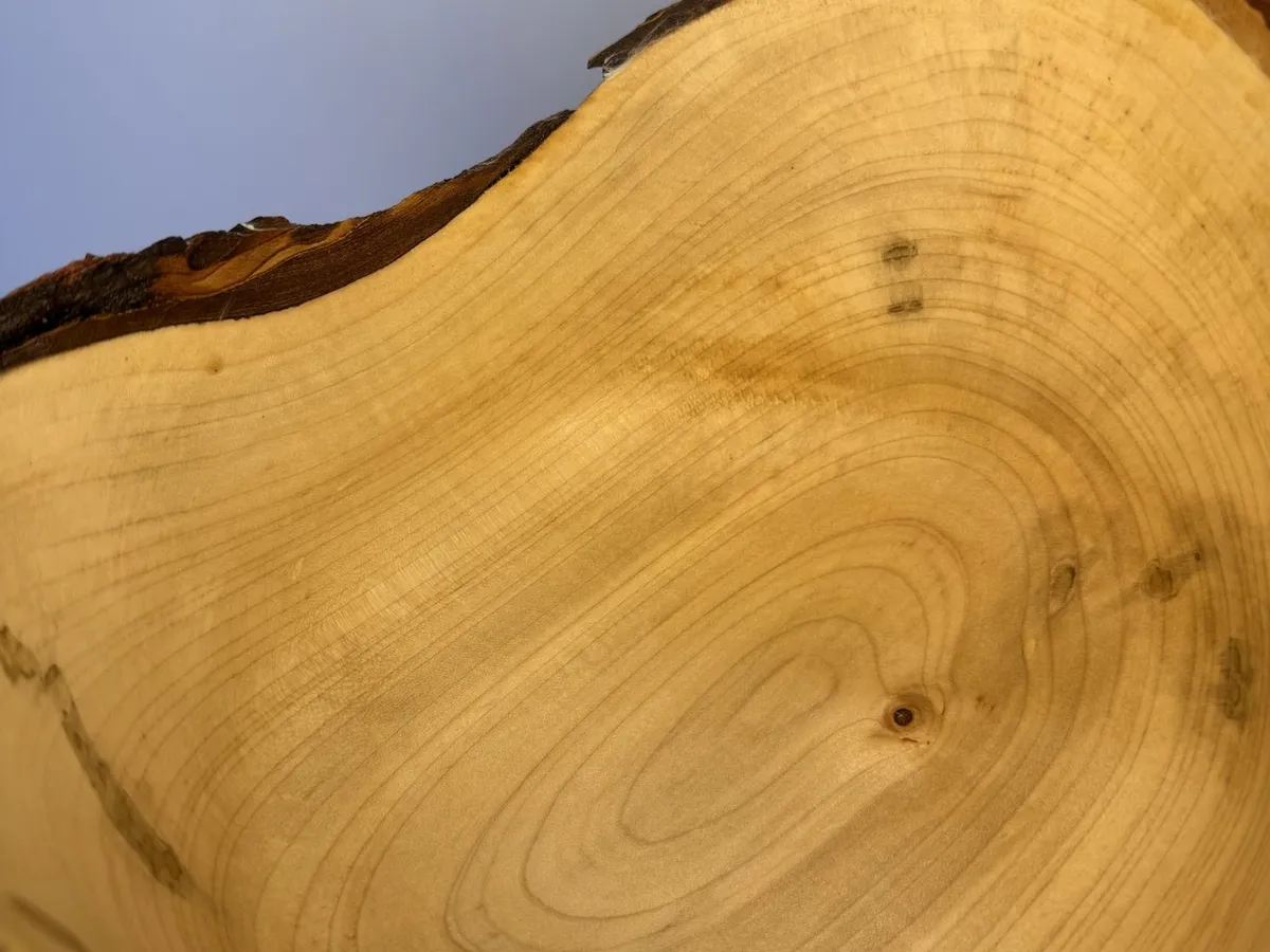 Close interior detail of maple natural edge bowl showing circular grain and partial bark