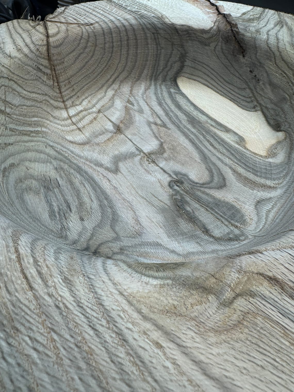 The Beauty of the "Imperfect": Turning a Wild-Grain White Ash Bowl